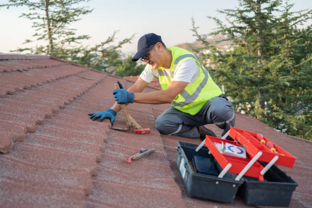 Best Gutter Installation and Roofing  in Ansonia, OH